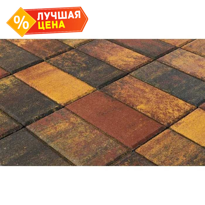 Плитка тротуарная BRAER Прямоугольник Color Mix Мальва, 200x100x60 мм